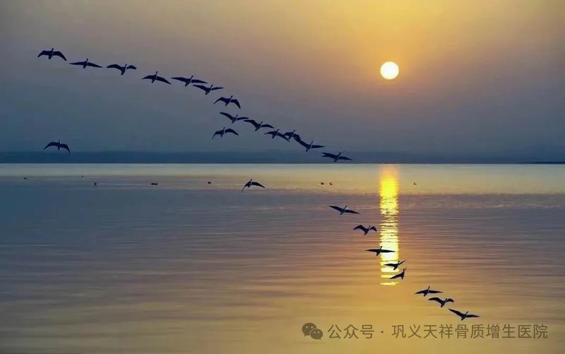 640_wx_fmt=jpeg&tp=webp&wxfrom=10005&wx_lazy=1&wx_co=1 (1).jpg