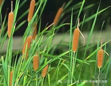 640_wx_fmt=jpeg&tp=webp&wxfrom=10005&wx_lazy=1&wx_co=1 (7).jpg