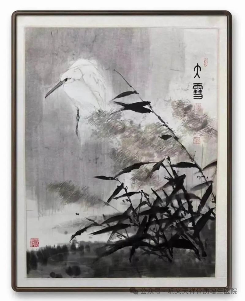 640_wx_fmt=jpeg&tp=webp&wxfrom=10005&wx_lazy=1&wx_co=1 (13).jpg