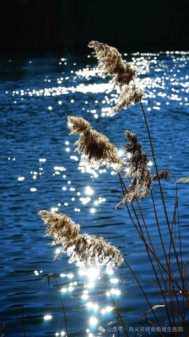 640_wx_fmt=jpeg&tp=webp&wxfrom=10005&wx_lazy=1&wx_co=1 (14).jpg